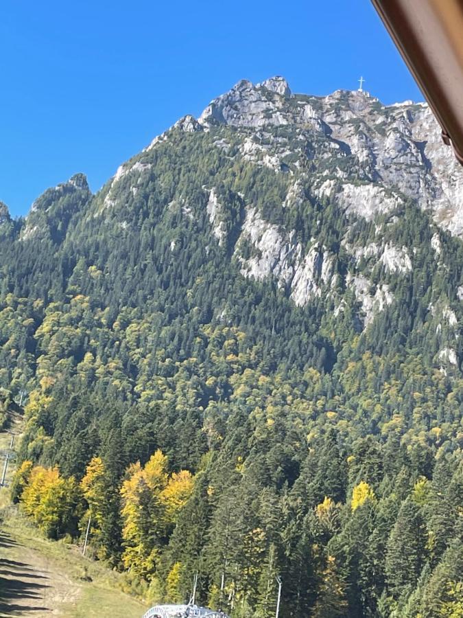 Apartament Lexannona Buşteni Esterno foto