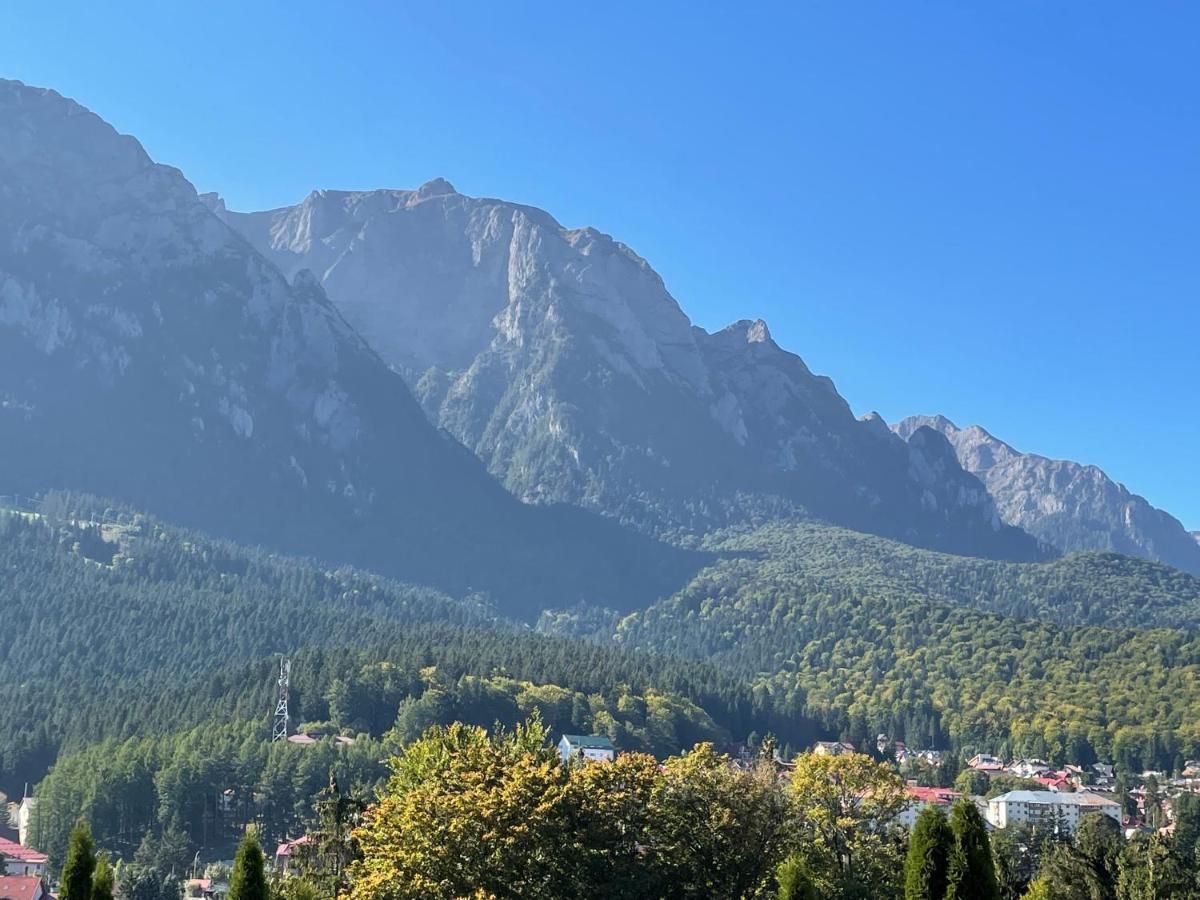 Apartament Lexannona Buşteni Esterno foto