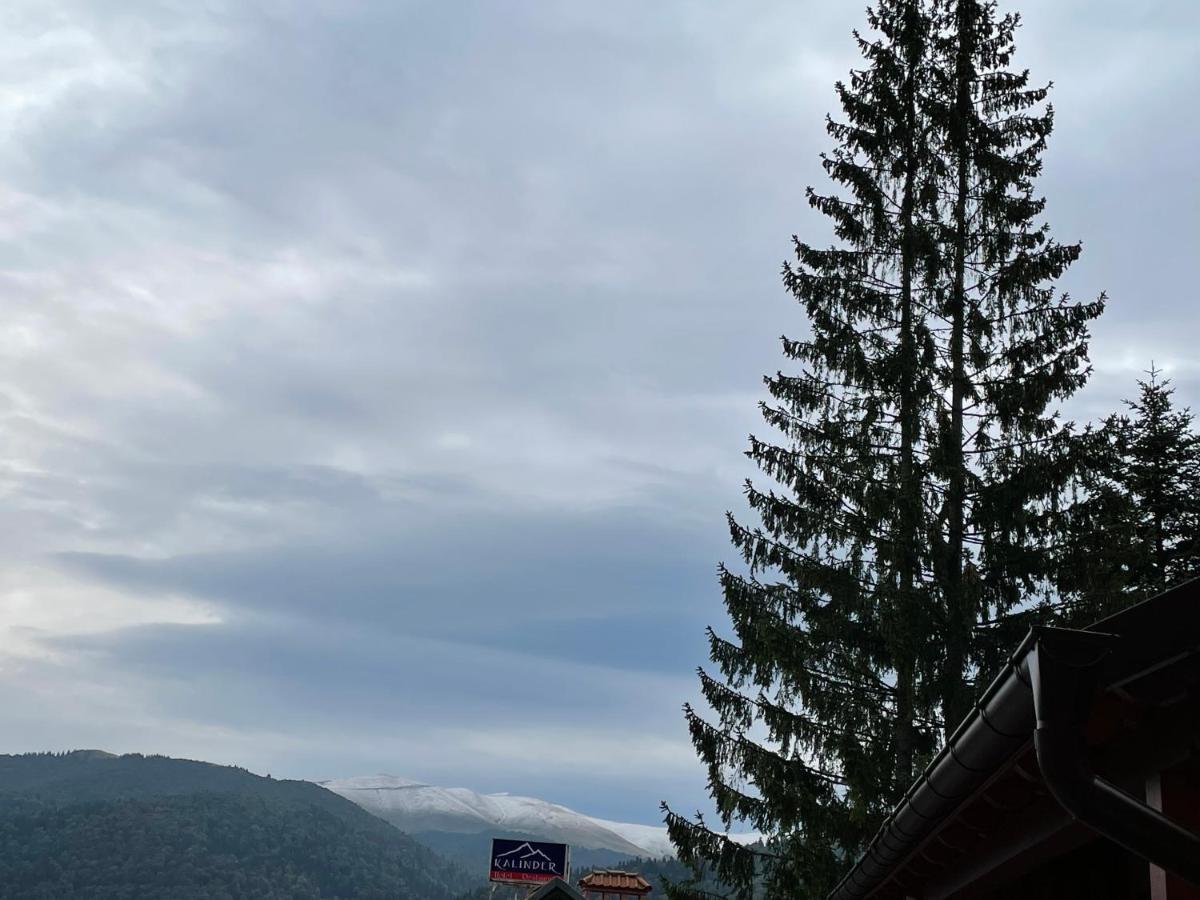 Apartament Lexannona Buşteni Esterno foto