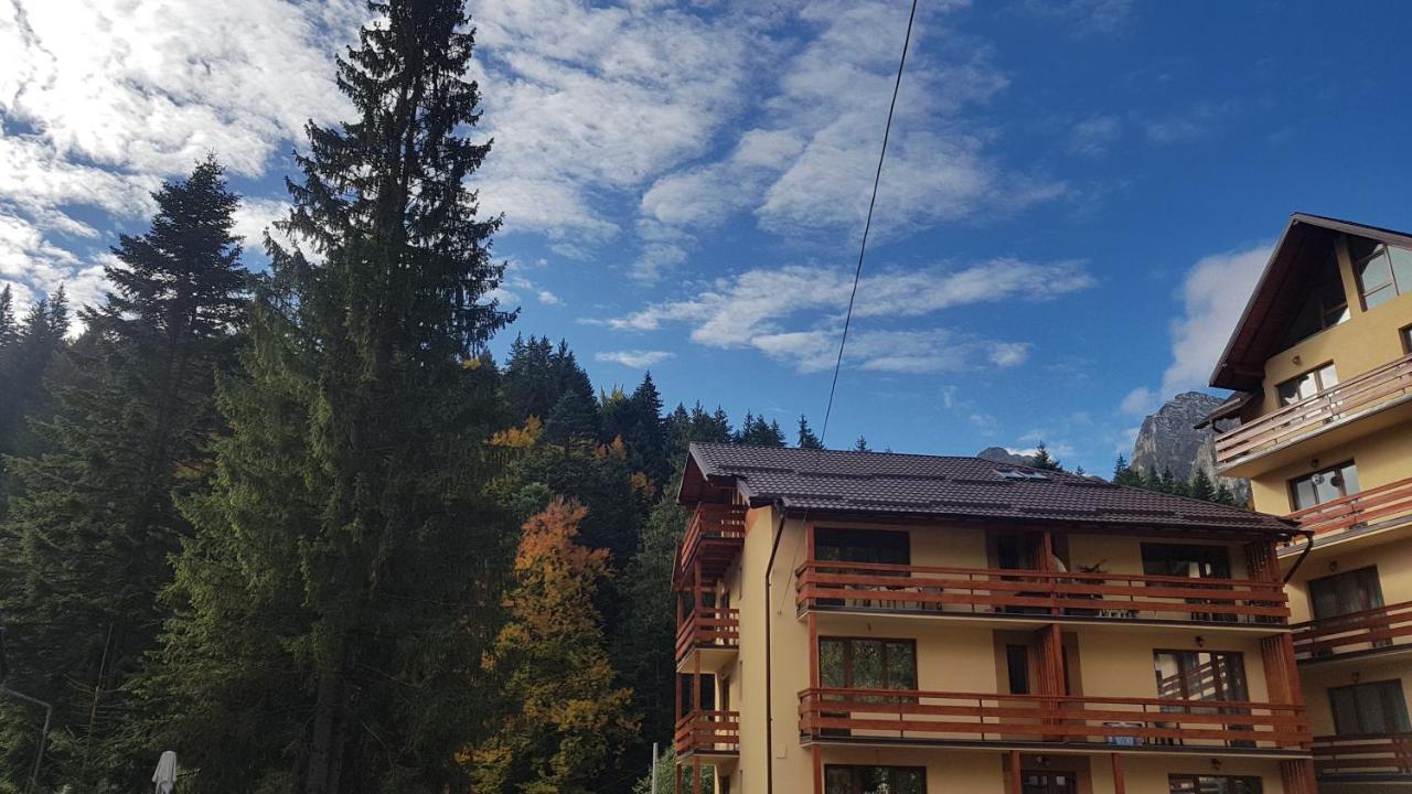 Apartament Lexannona Buşteni Esterno foto