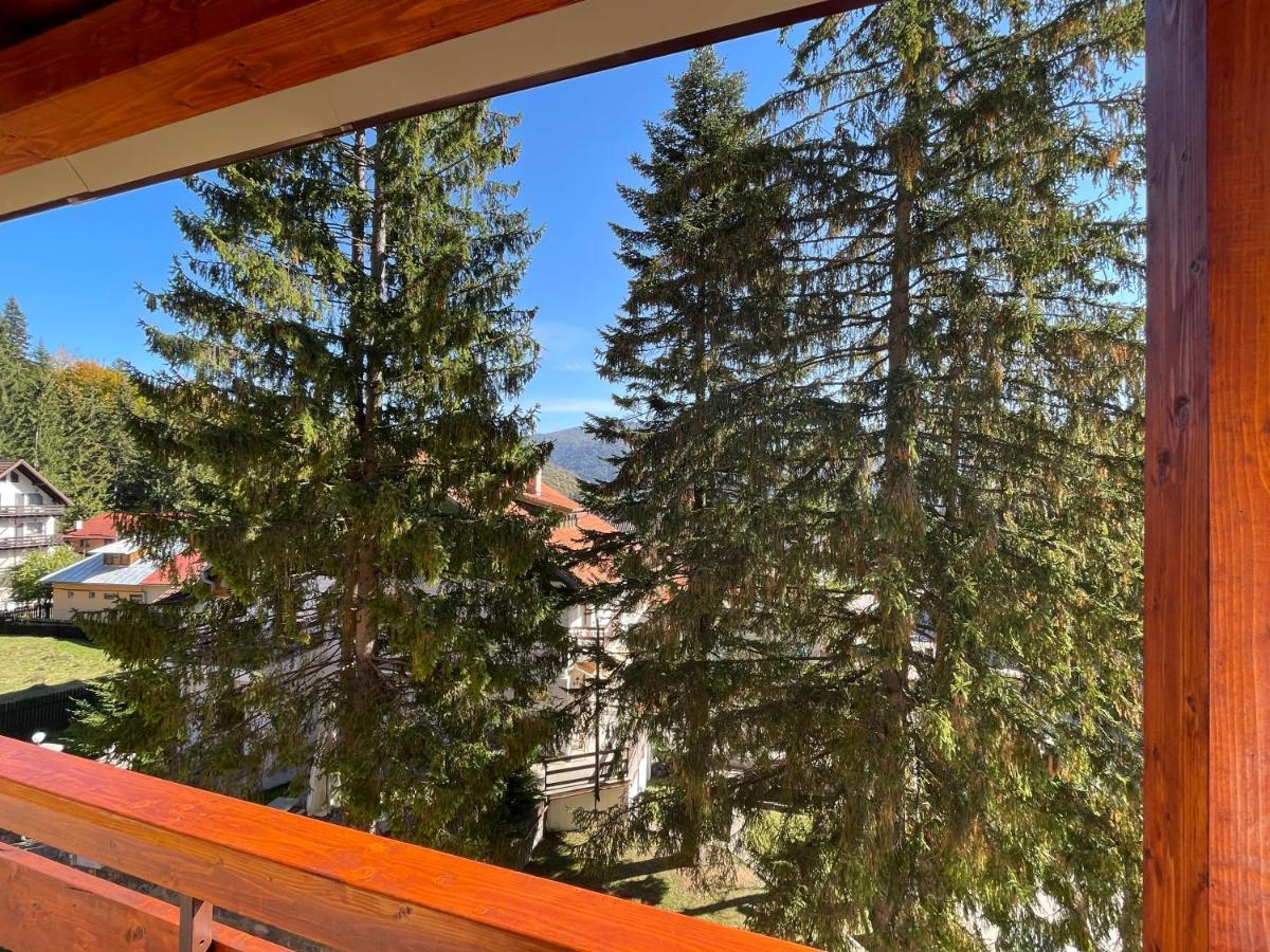 Apartament Lexannona Buşteni Esterno foto