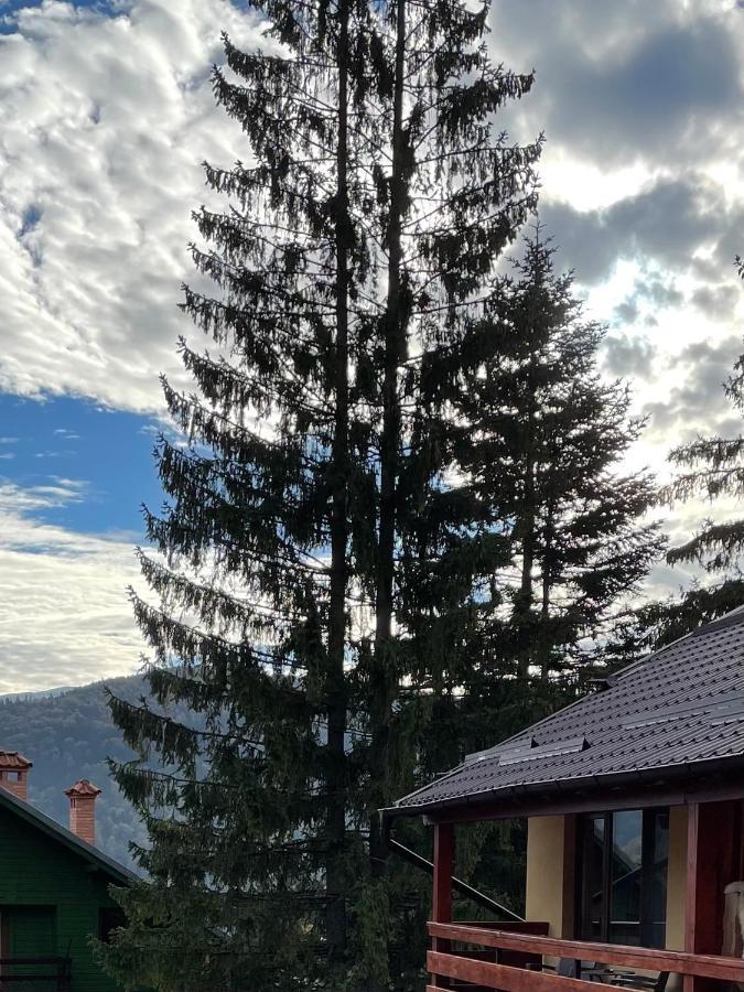 Apartament Lexannona Buşteni Esterno foto