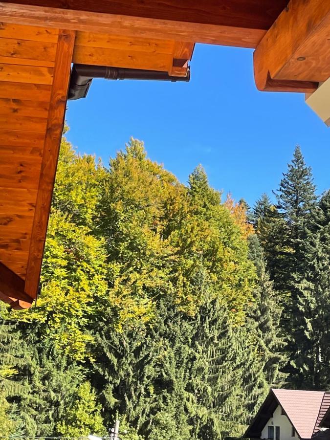 Apartament Lexannona Buşteni Esterno foto