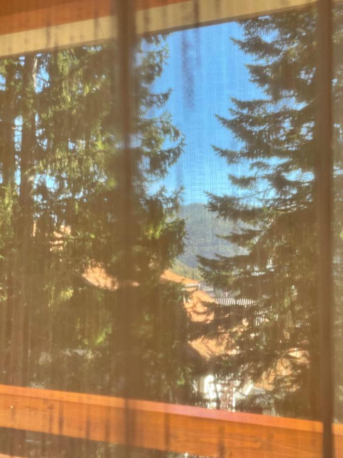 Apartament Lexannona Buşteni Esterno foto