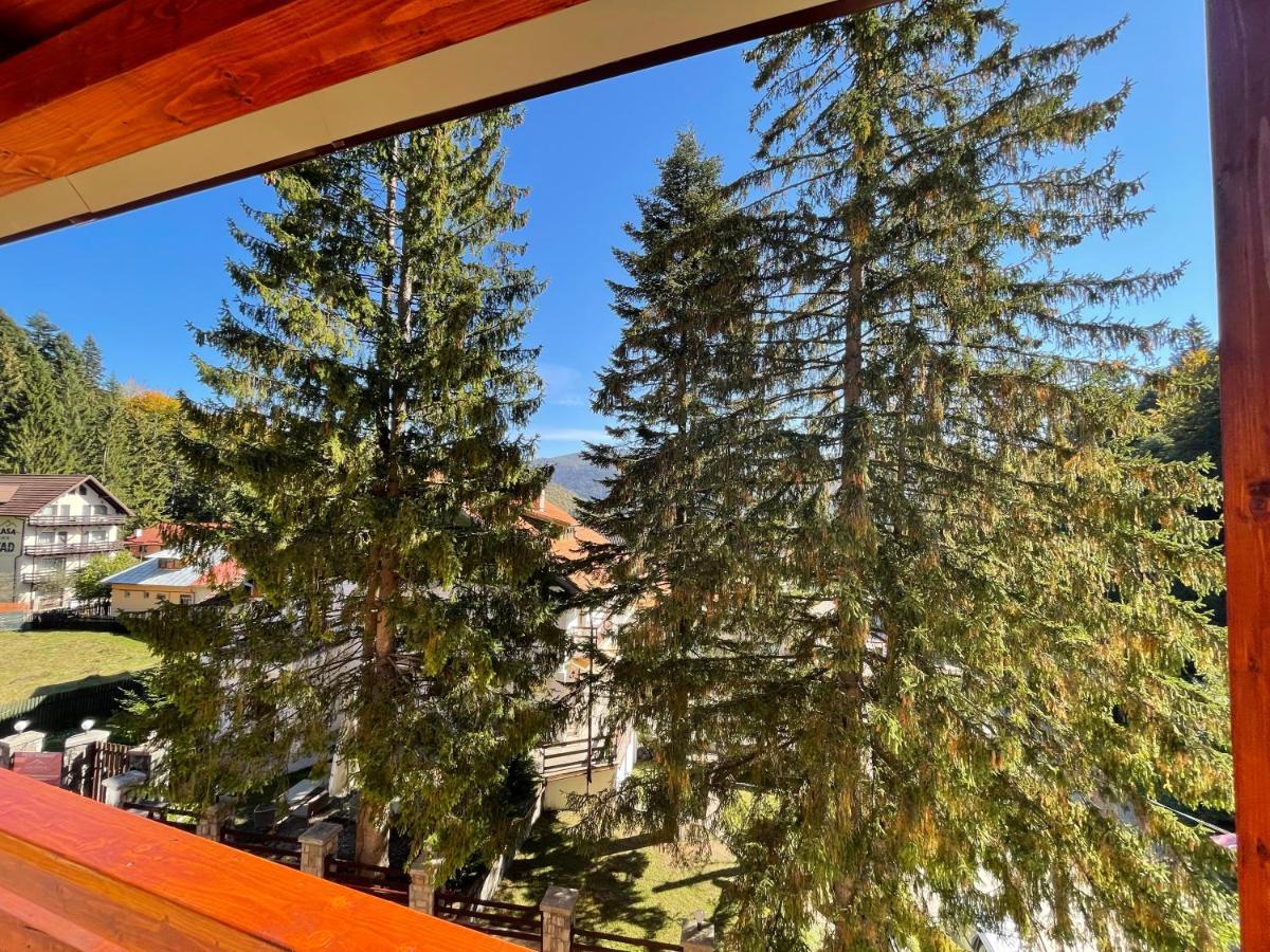 Apartament Lexannona Buşteni Esterno foto