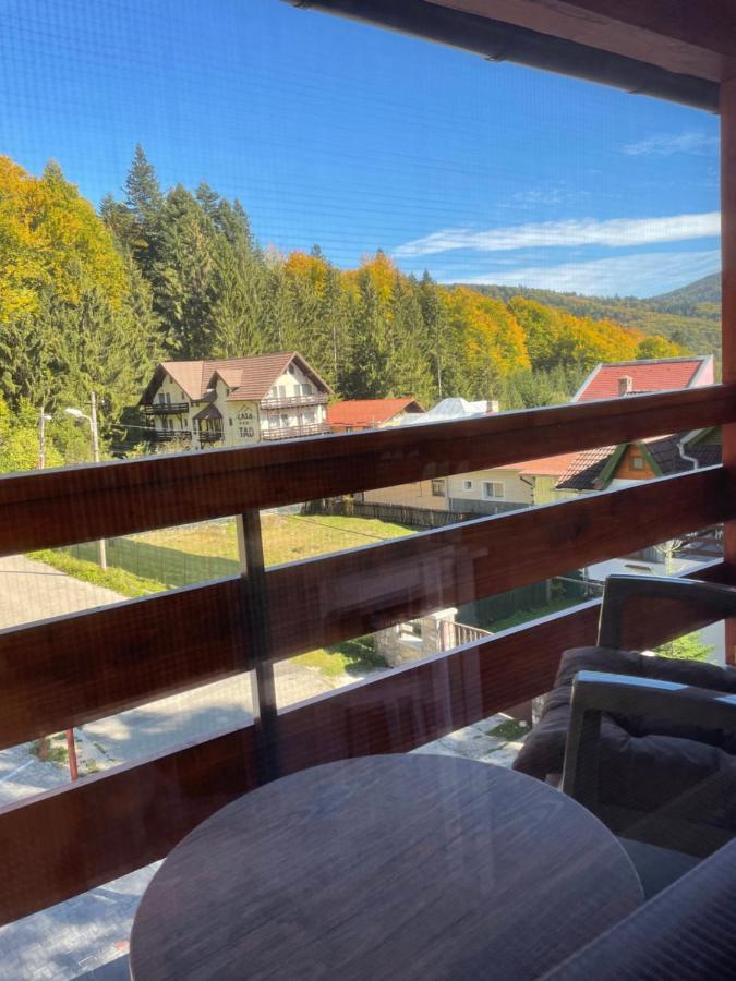 Apartament Lexannona Buşteni Esterno foto