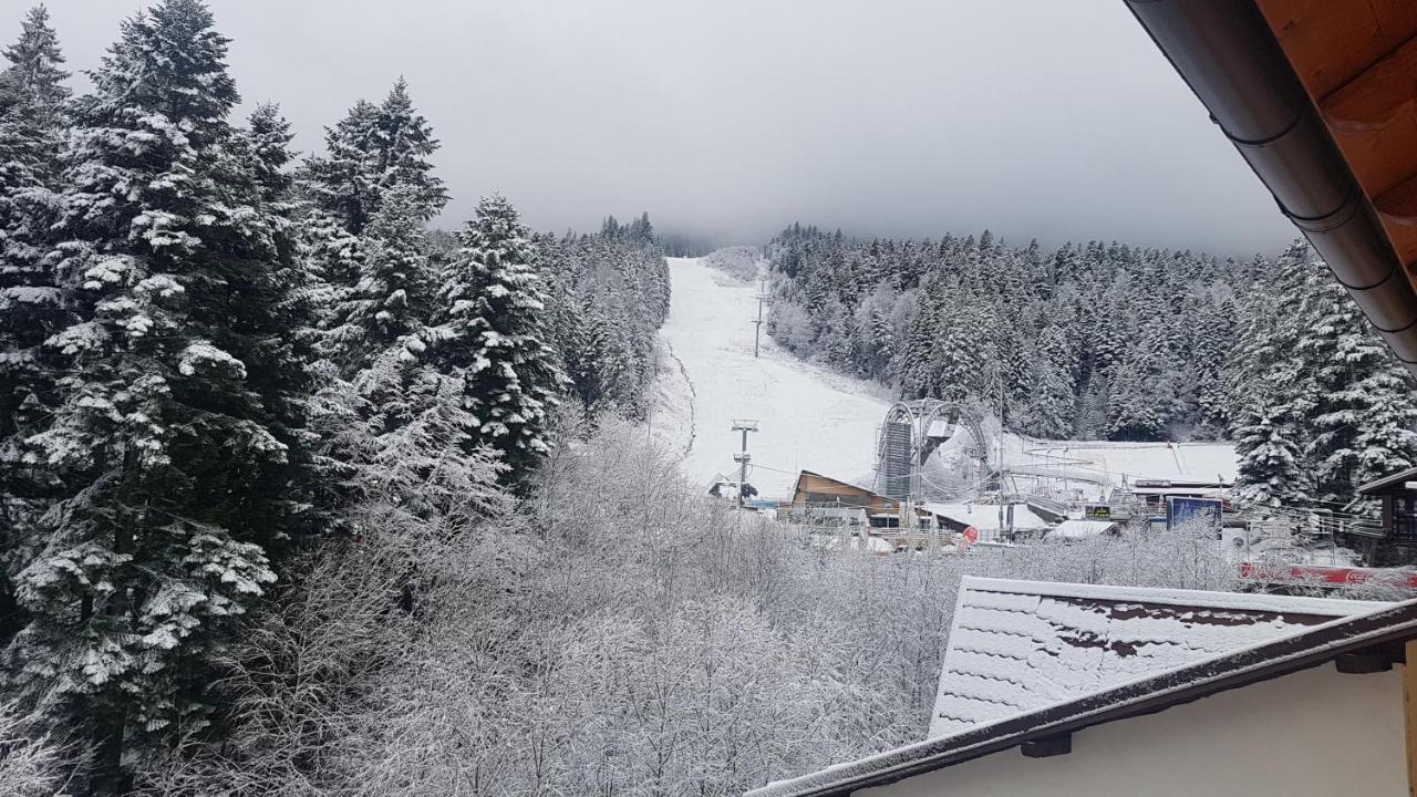 Apartament Lexannona Buşteni Esterno foto